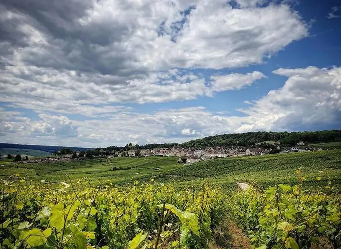 Apartment Avec Baignoire - Hautvillers